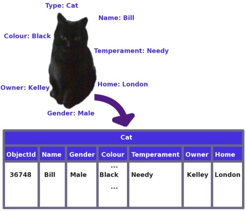 Figure 2: The attributes of a cat stored in a table as a single row